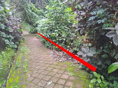 Prime Riverside Land In Mambal, Abiansemal, Quiet Area, Close To Central Ubud, Suitable For Villa - Thumbnail 3