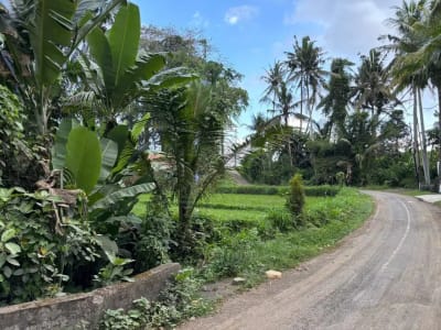 Tanah View Sawah Indah di Singakerta Ubud Bali - Thumbnail 5