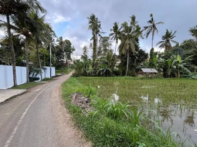 Tanah View Sawah Indah di Singakerta Ubud Bali - Thumbnail 4