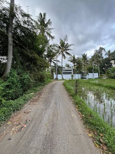 Tanah View Sawah Indah di Singakerta Ubud Bali - Thumbnail 3
