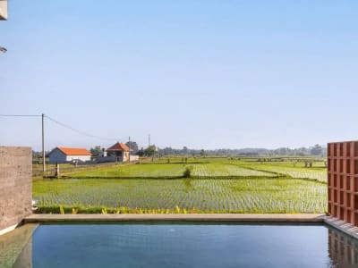 Villa Mewah Dengan Pemandangan Sawah Singakerta Ubud Bali - Thumbnail 6