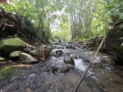 Dijual tanah los sungai dan view sawah di tabanan bali - Thumbnail 1