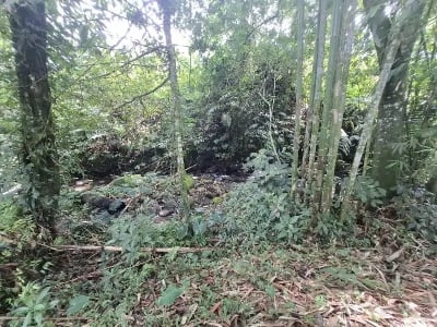 Dijual tanah los sungai dan view sawah di tabanan bali - Thumbnail 6