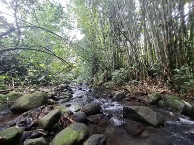 Dijual tanah los sungai dan view sawah di tabanan bali - Thumbnail 2