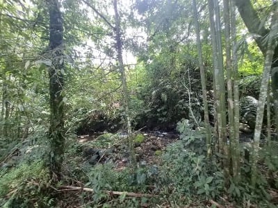 Dijual tanah los sungai dan view sawah di tabanan bali - Thumbnail 7