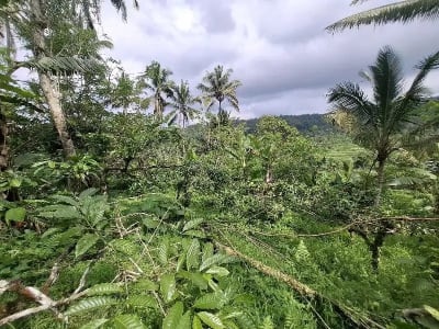 Dijual tanah los sungai dan view sawah di tabanan bali - Thumbnail 10