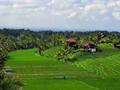 dijual Tanah Kebun Durian, Tabanan, Bali - Thumbnail 6