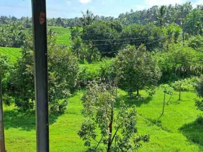 dijual Tanah Kebun Durian, Tabanan, Bali - Thumbnail 10