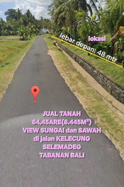 Jual tanah 6445m2 tegal megkeb tabanan - Thumbnail 1