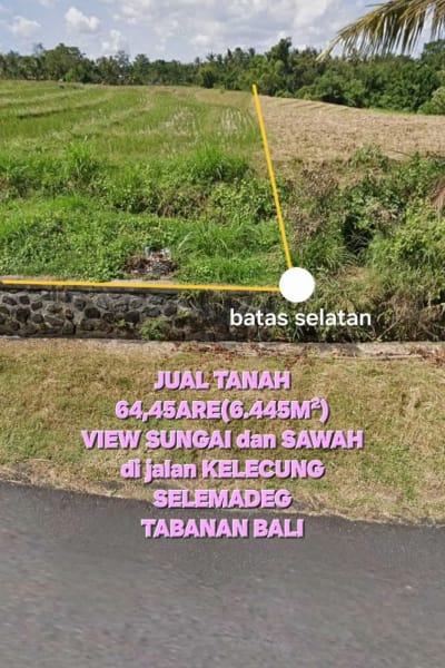 Jual tanah 6445m2 tegal megkeb tabanan - Thumbnail 2