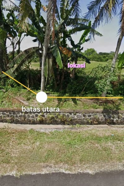 Jual tanah 6445m2 tegal megkeb tabanan - Thumbnail 3