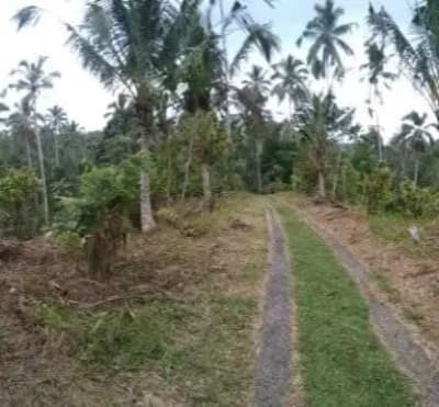 Tanah kebun dekat Talasi Estate dan Alassari Plantation Bali - Thumbnail 1