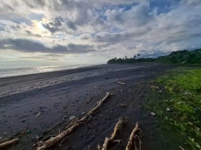 Dijual tanah murah los pantai di pasut tabanan bali - Thumbnail 1