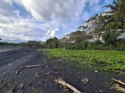 Dijual tanah murah los pantai di pasut tabanan bali - Thumbnail 5