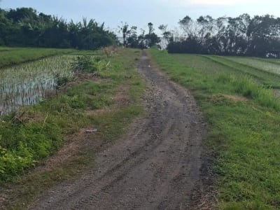 Dijual tanah murah los pantai di pasut tabanan bali - Thumbnail 3