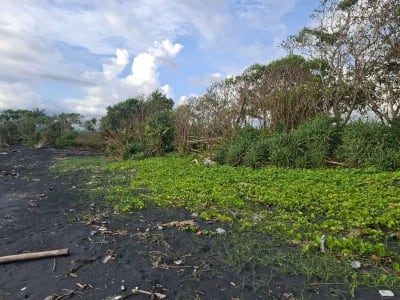 Dijual tanah murah los pantai di pasut tabanan bali - Thumbnail 6