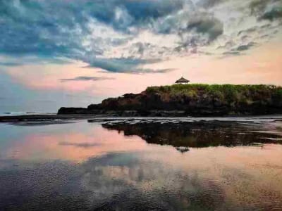 Tanah Kavling Villa View Sawah, Sungai &amp; Laut, Harga Ekonomis di Kelating, Kerambitan, Tabanan dekat Pantai - Thumbnail 4