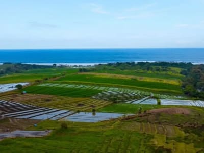 Tanah Kavling Villa View Sawah, Sungai &amp; Laut, Harga Ekonomis di Kelating, Kerambitan, Tabanan dekat Pantai - Thumbnail 9