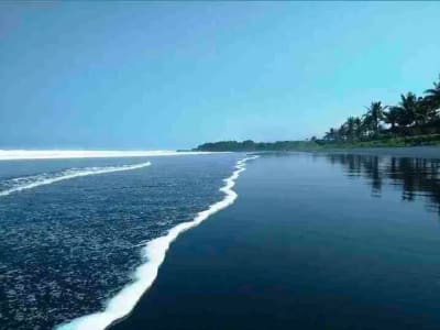 Tanah Kavling Villa View Sawah, Sungai &amp; Laut, Harga Ekonomis di Kelating, Kerambitan, Tabanan dekat Pantai - Thumbnail 8