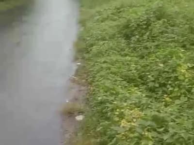 Nyambu Kediri Tabanan  Bali - Thumbnail 3