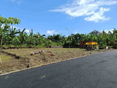 Jual Tanah 2 Are Dharma Giri Kota Gianyar Dekat Puspem Gianyar - Thumbnail 4