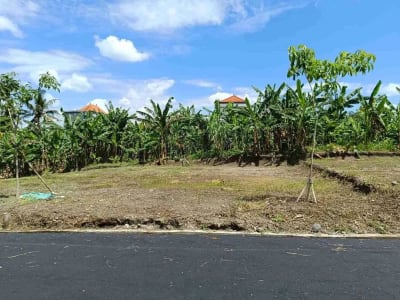 Jual Tanah 2 Are Dharma Giri Kota Gianyar Dekat Puspem Gianyar - Thumbnail 3