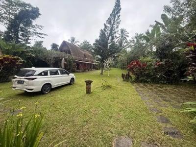 Tanah 36,5 Are View Sunrise Gunung Agung Dijual di Sebatu, Gianyar - Thumbnail 3