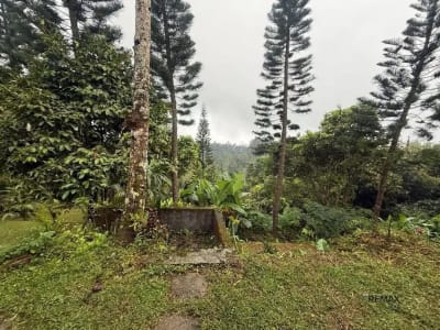 Tanah 36,5 Are View Sunrise Gunung Agung Dijual di Sebatu, Gianyar - Thumbnail 4