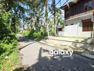 SUBLEASE BISTRO & A WOODEN HOUSE - PANTAI SABA GIANYAR - Thumbnail 3