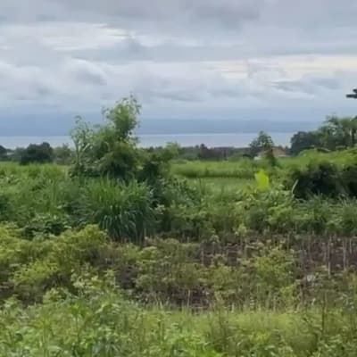 Tanah 2 are Full View Ocean dan Gunung Agung di Gianyar Bali - Thumbnail 5