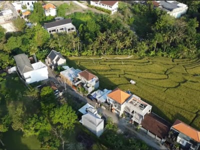 TANAH KOSONG DI SINGAPADU BATUBULAN DEKAT BALI BIRD PARK - Thumbnail 6