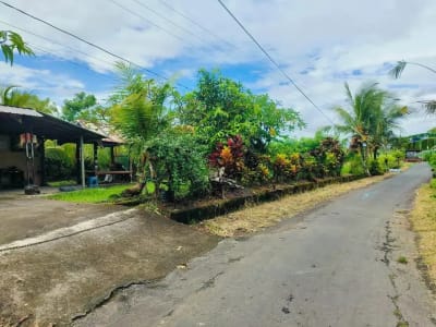 Tanah Murah Di Pinggir Jalan Banjar Sukawati Selemadeg Dekat Megati Raya Denpasar Gilimanuk - Thumbnail 6