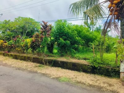 Tanah Murah Di Pinggir Jalan Banjar Sukawati Selemadeg Dekat Megati Raya Denpasar Gilimanuk - Thumbnail 8