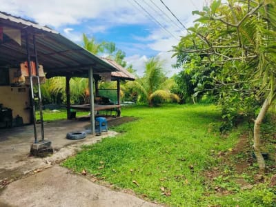 Tanah Murah Di Pinggir Jalan Banjar Sukawati Selemadeg Dekat Megati Raya Denpasar Gilimanuk - Thumbnail 5