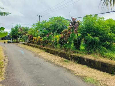Tanah Murah Di Pinggir Jalan Banjar Sukawati Selemadeg Dekat Megati Raya Denpasar Gilimanuk - Thumbnail 10