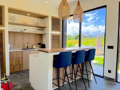 Long Lease New Villa With Rice Field View In Singakerta Ubud - Thumbnail 3