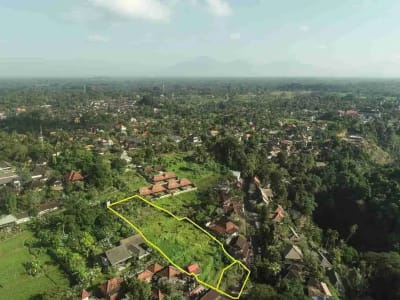 Tanah Komersial Ubud Center Dekat Museum Blanco - Thumbnail 1
