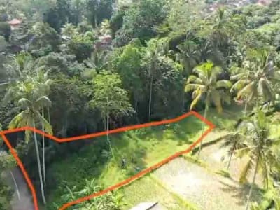 Tanah Murah Los Sungai Zona Kenderan Tegalalang Ubud Bali - Thumbnail 3