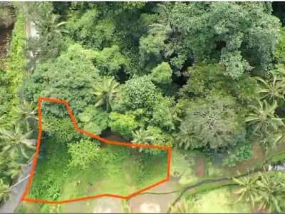 Tanah Murah Los Sungai Zona Kenderan Tegalalang Ubud Bali - Thumbnail 1