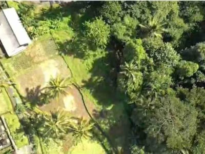 Tanah Murah Los Sungai Zona Kenderan Tegalalang Ubud Bali - Thumbnail 7
