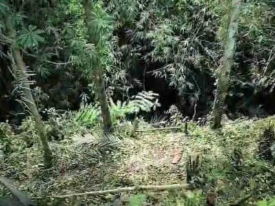Tanah Murah Los Sungai Zona Kenderan Tegalalang Ubud Bali - Thumbnail 9