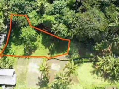 Tanah Murah Los Sungai Zona Kenderan Tegalalang Ubud Bali - Thumbnail 4