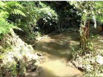 Tanah Murah Los Sungai Zona Kenderan Tegalalang Ubud Bali - Thumbnail 10