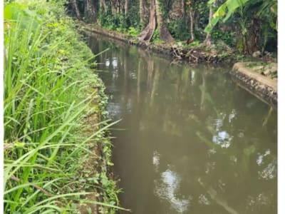 Tanah 185 m2 di Semana Ubud - Thumbnail 6