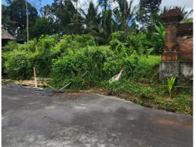 Tanah 185 m2 di Semana Ubud - Thumbnail 4