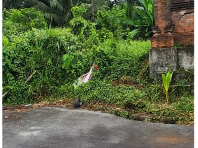 Tanah 185 m2 di Semana Ubud - Thumbnail 3
