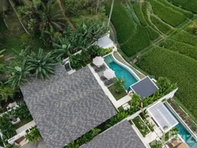 2 Bedroom Villa for sale in Ubud, Bali - Thumbnail 3