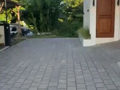 Tanah View Jungle Canggu 13 Menit ke Pantai Berawa - Thumbnail 8
