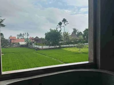 Villa Baru Modern View Sawah Kemenuh Ubud 3BR Furnished Nego - Thumbnail 3