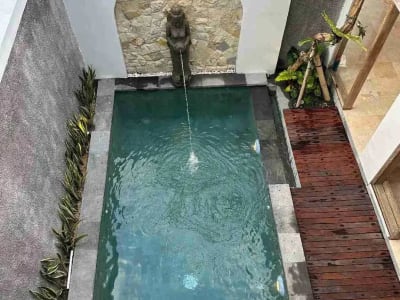Villa Baru Modern View Sawah Kemenuh Ubud 3BR Furnished Nego - Thumbnail 1